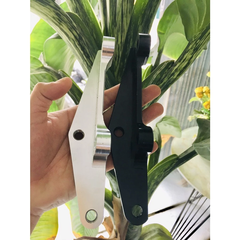 Pát trước Ex 150 đĩa 245mm heo trụ 100