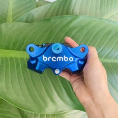 Heo Bremb 2Pis Đối Xứng Gắn Mọi Dòng Xe