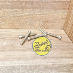 Ốc tiện đầu đầu inox 304 siêu sáng 8li 60 ( Giá 1 con )