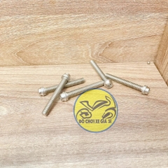 Ốc tiện đầu đầu inox 304 siêu sáng 8li 60 ( Giá 1 con )