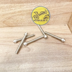 Ốc tiện đầu đầu inox 304 siêu sáng 8li 60 ( Giá 1 con )