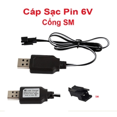 Bộ Pin 6v 700mah + Dây sạc qua cổng USB tiện lợi