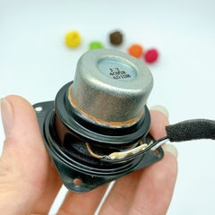 Loa bán thành phẩm cao cấp 2 x 10w
