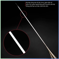 Dao bếp Nhật cao cấp Global G3 Carving Knife - Dao thái lát (210mm)