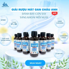 Giải Rượu mát Gan Châu Anh (lốc 6 hộp/36 chai)