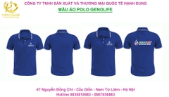 Áo phông cổ bẻ