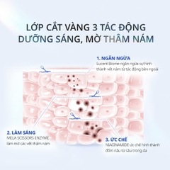 NIACIN BIOME MELA SCISSORS CLEANSING FOAM Sữa Rửa Mặt Cấp Ẩm Sáng Da 150ml