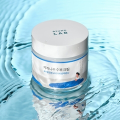 ROUND LAB KEM DƯỠNG DA BIRCH JUICE MOISTURIZING CREAM 80ML (IP04)