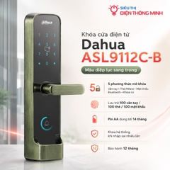 Khóa cửa điện tử Dahua ASL9112C-B màu diệp lục