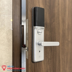 Khóa cửa điện tử Dahua ASL8212S-B màu bạc
