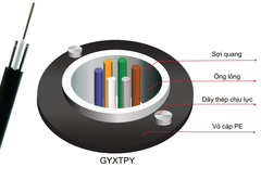Cáp sợi quang Zincom 4FO ZC-GYXTC8Y-4C-SM-G652D ống lỏng