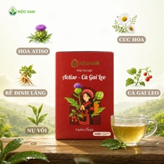 tra-actiso-ca-gai-leo-moc-nam