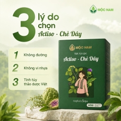 tra-actiso-che-day-moc-nam
