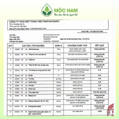 tra-thao-moc-actiso-cuc-hoa-moc-nam