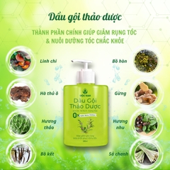 dau-goi-thao-duoc-moc-nam-ngan-ngua-rung-toc-kich-thich-moc-toc