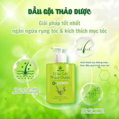 dau-goi-thao-duoc-moc-nam-ngan-ngua-rung-toc-kich-thich-moc-toc