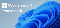 Windows 10,11 Professional key