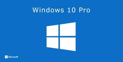 Win 10/11 Home Retail
