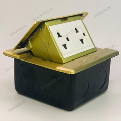 Ổ cắm âm sàn gồm 2 ổ cắm 3 chấu thường màu vàng đồng Simon ZD011287