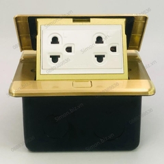 Ổ cắm âm sàn gồm 2 ổ cắm 3 chấu thường màu vàng đồng Simon ZD011287