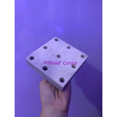 Đế frags bằng đá san hô tự nhiên với nhiều lỗ cắm san hô (size 10x10cm)