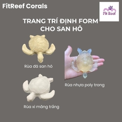 Tượng rùa trang trí tạo hình cho san hô