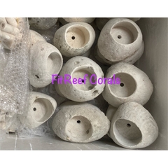Đế frag cắm san hô có lỗ bằng chất liệu đá san hô tự nhiên