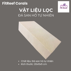 Vật liệu lọc cao cấp bằng đá san hô tự nhiên chuyên dùng cho bể nước mặn (size lớn 20x10x5 cm)