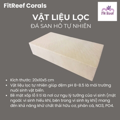 Vật liệu lọc cao cấp bằng đá san hô tự nhiên chuyên dùng cho bể nước mặn (size lớn 20x10x5 cm)