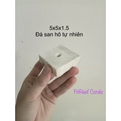 Đế frags bằng đá san hô tự nhiên chuyên dụng cắm san hô mềm để nền (5x5x1.5 cm)