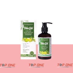 In ấn hộp giấy đựng dầu gội