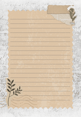 SET 5 GIẤY KRAFT VIẾT THƯ A5 PHONG CÁCH VINTAGE T.CRAFT HOUSE - MẪU 2