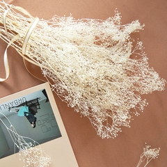 HOA BABY BLOOM KHÔ LOẠI 1 TRANG TRÍ NẾN/THIỆP/CRAFTBOOK HANDMADE T.CRAFT HOUSE