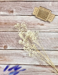 HOA BABY BLOOM KHÔ LOẠI 1 TRANG TRÍ NẾN/THIỆP/CRAFTBOOK HANDMADE T.CRAFT HOUSE