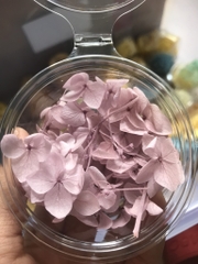 HOA CẨM TÚ CẦU KHÔ LOẠI 1 TRANG TRÍ NẾN/THIỆP/CRAFTBOOK HANDMADE T.CRAFT HOUSE