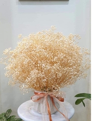 HOA BABY BLOOM KHÔ LOẠI 1 TRANG TRÍ NẾN/THIỆP/CRAFTBOOK HANDMADE T.CRAFT HOUSE