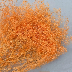 HOA BABY BLOOM KHÔ LOẠI 1 TRANG TRÍ NẾN/THIỆP/CRAFTBOOK HANDMADE T.CRAFT HOUSE