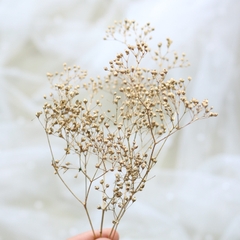 HOA BABY BLOOM KHÔ LOẠI 1 TRANG TRÍ NẾN/THIỆP/CRAFTBOOK HANDMADE T.CRAFT HOUSE