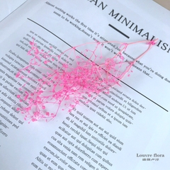 HOA BABY BLOOM KHÔ LOẠI 1 TRANG TRÍ NẾN/THIỆP/CRAFTBOOK HANDMADE T.CRAFT HOUSE