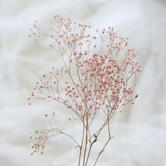 HOA BABY BLOOM KHÔ LOẠI 1 TRANG TRÍ NẾN/THIỆP/CRAFTBOOK HANDMADE T.CRAFT HOUSE