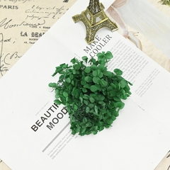 HOA CẨM TÚ CẦU KHÔ LOẠI 1 TRANG TRÍ NẾN/THIỆP/CRAFTBOOK HANDMADE T.CRAFT HOUSE
