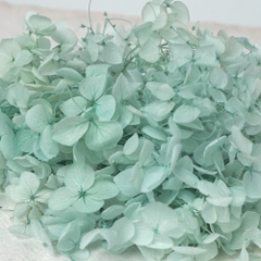 HOA CẨM TÚ CẦU KHÔ LOẠI 1 TRANG TRÍ NẾN/THIỆP/CRAFTBOOK HANDMADE T.CRAFT HOUSE