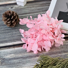 HOA CẨM TÚ CẦU KHÔ LOẠI 1 TRANG TRÍ NẾN/THIỆP/CRAFTBOOK HANDMADE T.CRAFT HOUSE