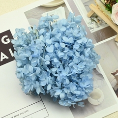 HOA CẨM TÚ CẦU KHÔ LOẠI 1 TRANG TRÍ NẾN/THIỆP/CRAFTBOOK HANDMADE T.CRAFT HOUSE