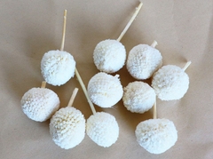 ĐẦU HOA CÚC NÚT ÁO KHÔ LOẠI 1 TRANG TRÍ NẾN/THIỆP/CRAFTBOOK HANDMADE T.CRAFT HOUSE