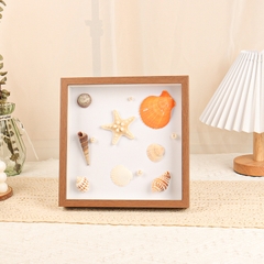 VỎ ỐC TRANG TRÍ NHIỀU KÍCH THƯỚC T.CRAFT HOUSE