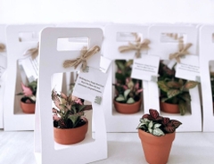 SET 5 HỘP GIẤY CẮM HOA CÓ QUAI XÁCH CAO CẤP T.CRAFT HOUSE