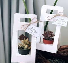SET 5 HỘP GIẤY CẮM HOA CÓ QUAI XÁCH CAO CẤP T.CRAFT HOUSE