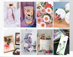 CÚC HOẠ MI ÉP KHÔ TRANG TRÍ NẾN/THIỆP/CRAFTBOOK QUÀ TẶNG HANDMADE T.CRAFT HOUSE