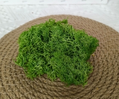 (10g) RÊU TUẦN LỘC KHÔ TRANG TRÍ NẾN/THIỆP/CRAFTBOOK HANDMADE T.CRAFT HOUSE